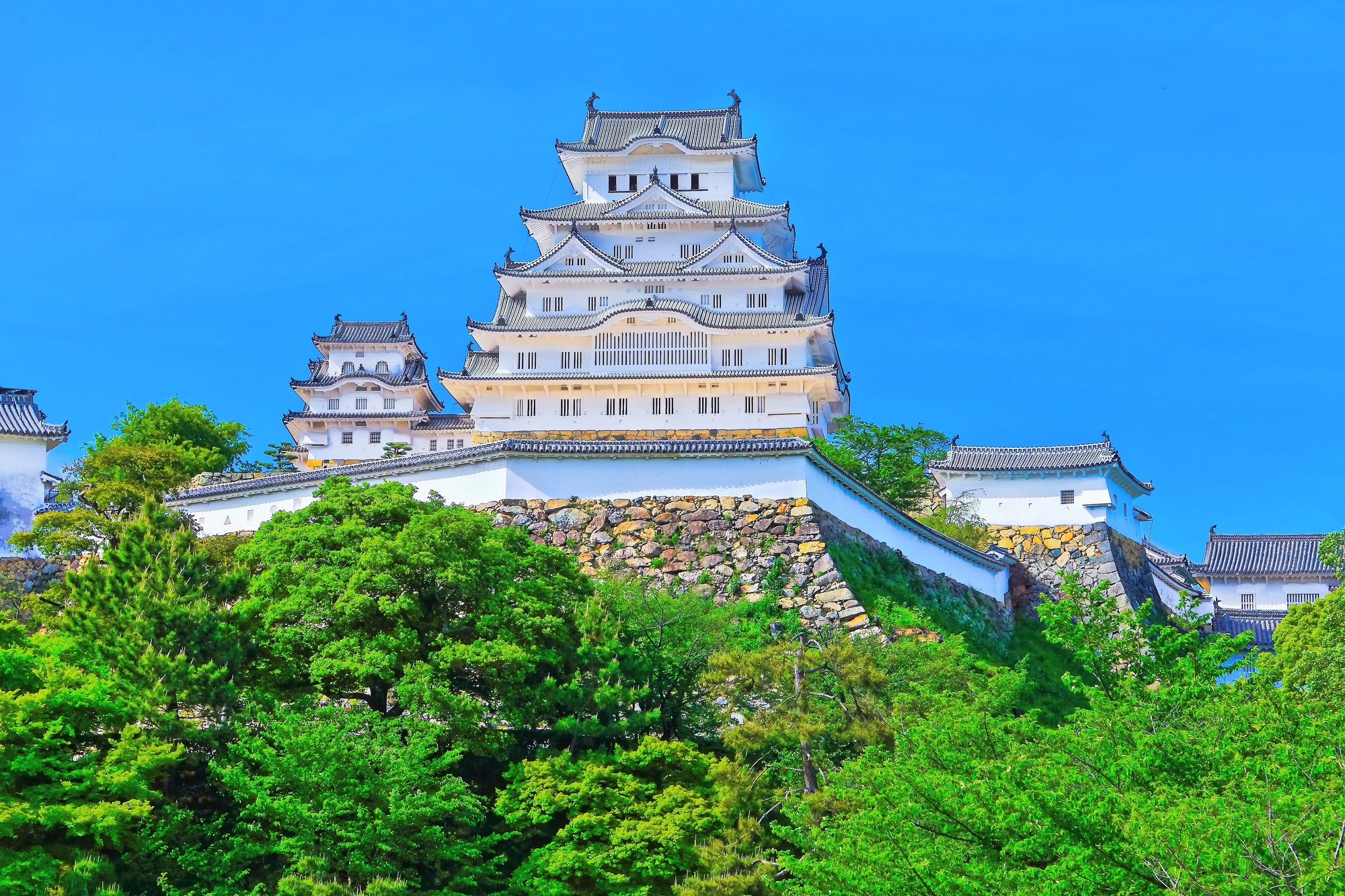 新緑の姫路城(世界文化遺産)