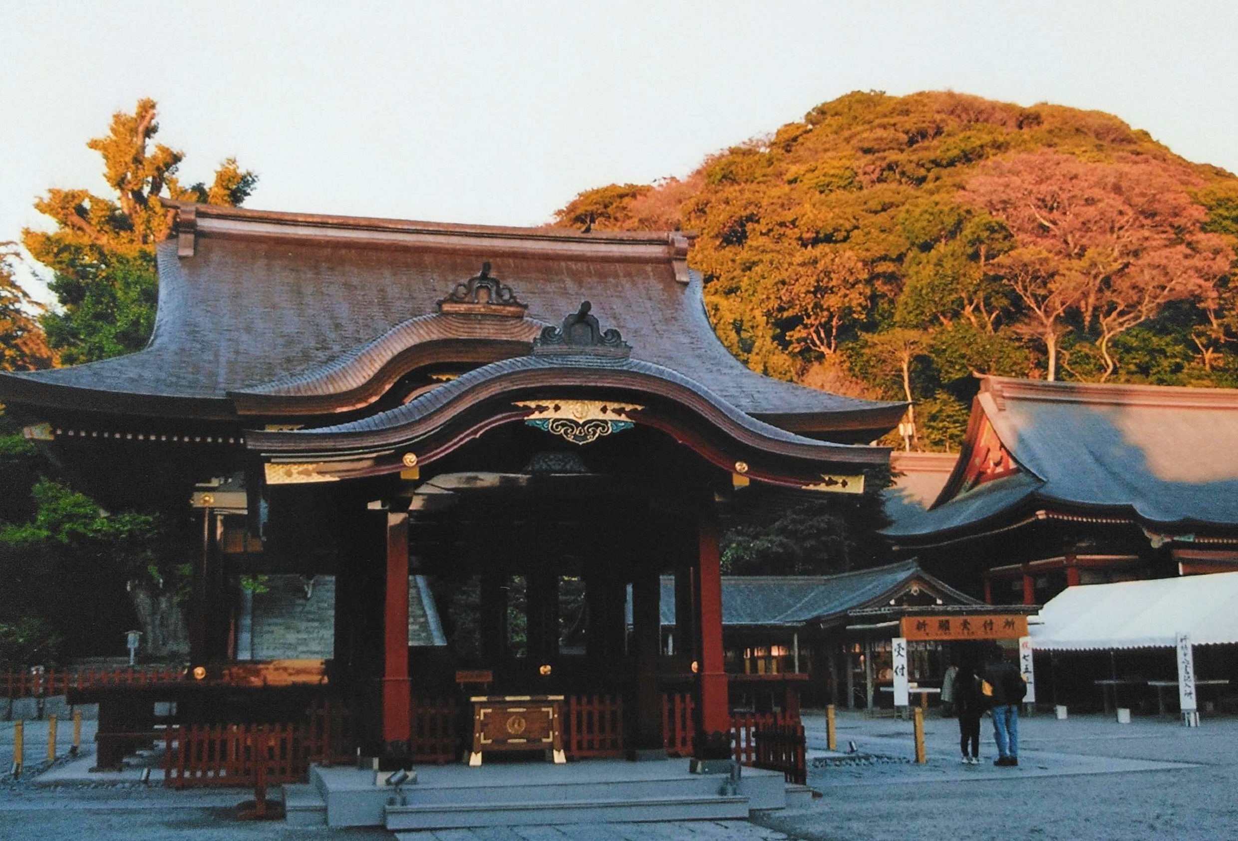 鶴岡八幡宮 舞殿