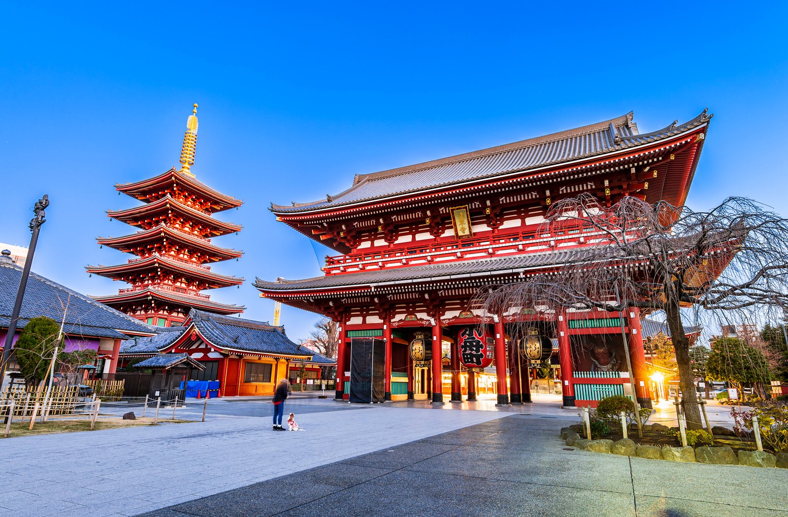 浅草寺 宝蔵門と五重塔(朝景)