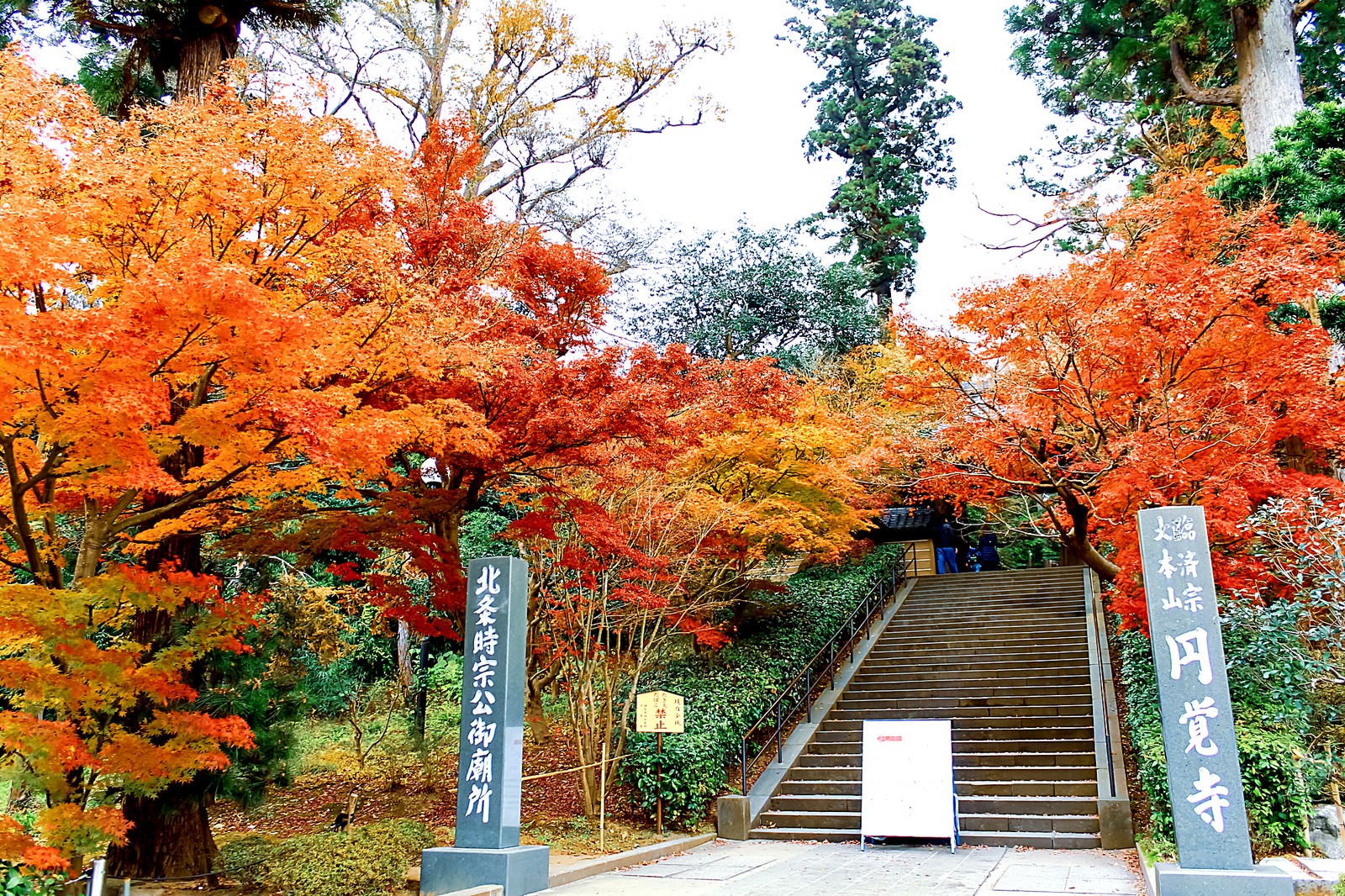 晩秋の円覚寺 総門へと続く石段と紅葉