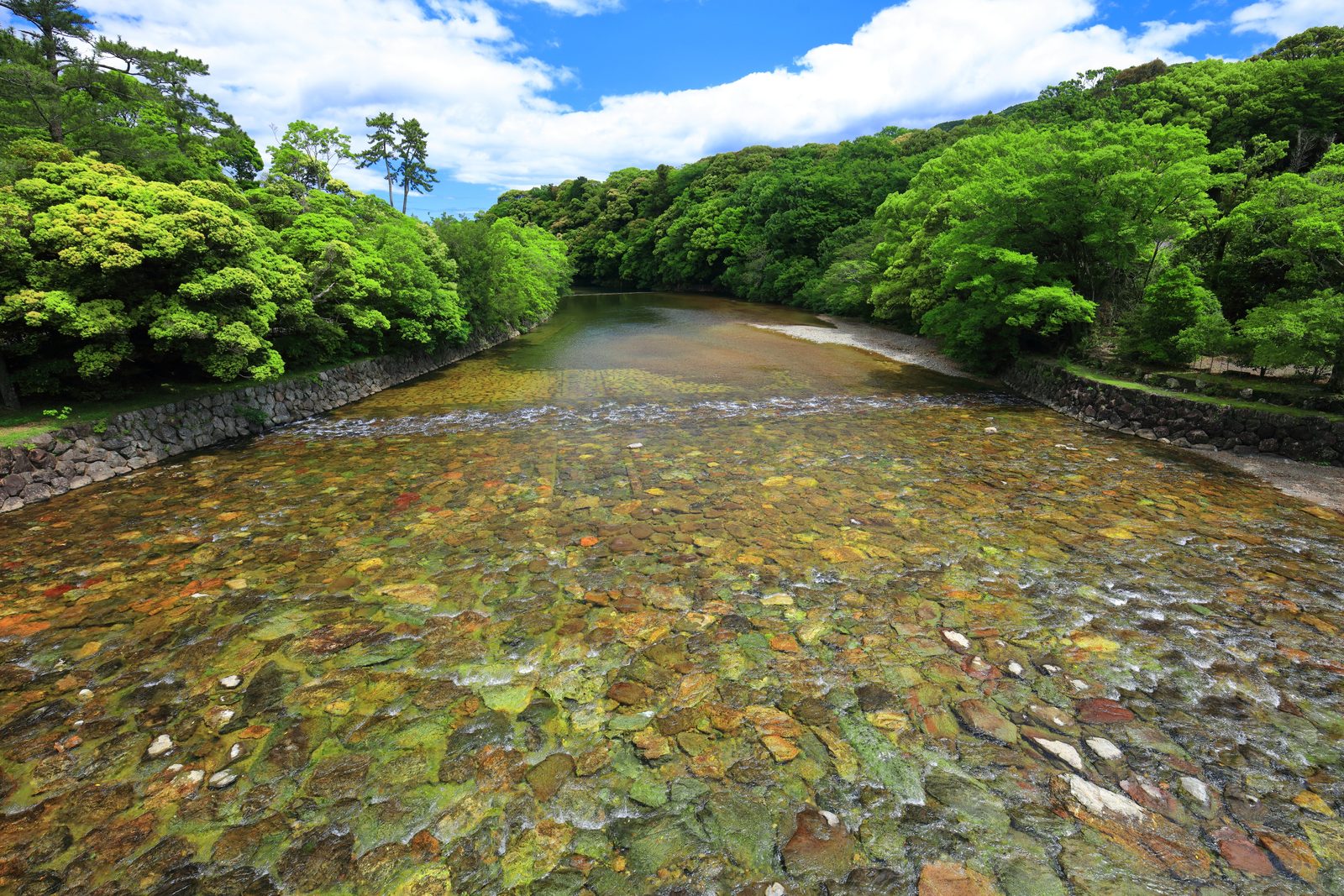 伊勢神宮 内宮を流れる五十鈴川と御手洗場付近の清流