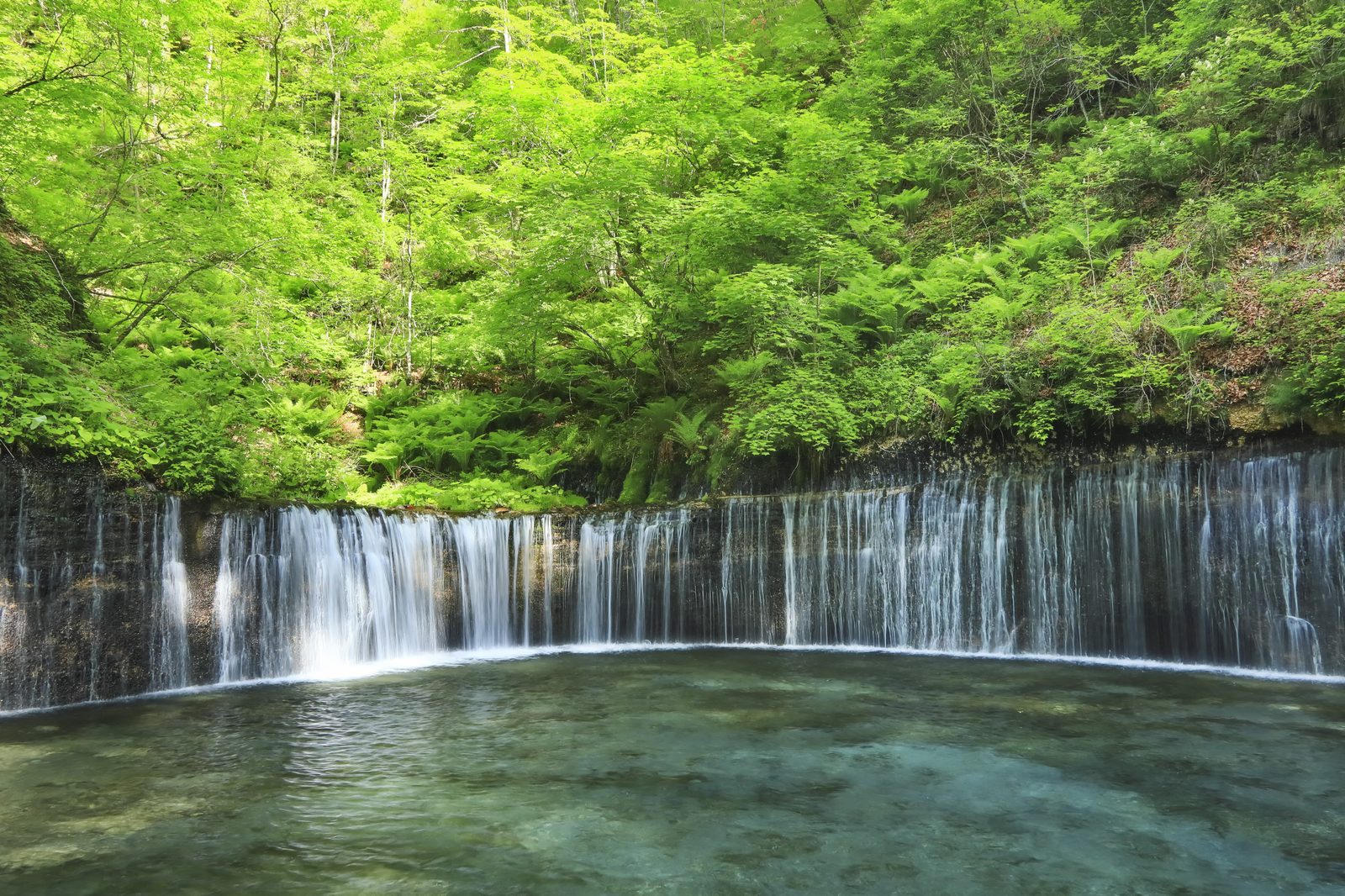 新緑の白糸の滝