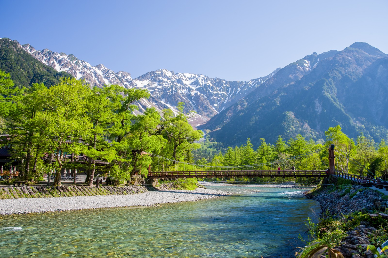 新緑の上高地 朝の河童橋周辺