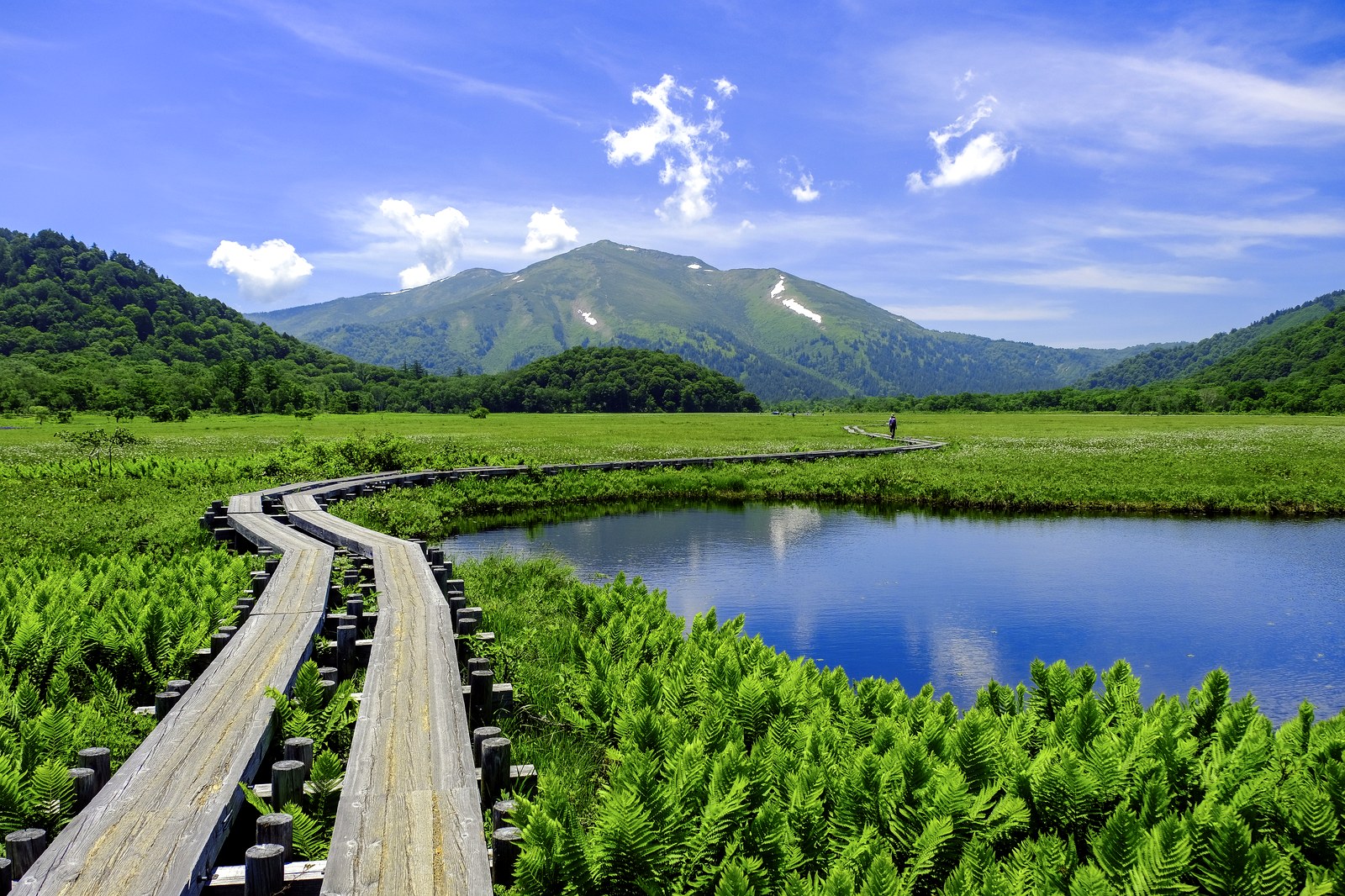 尾瀬ヶ原の木道と、その先にそびえる至仏山