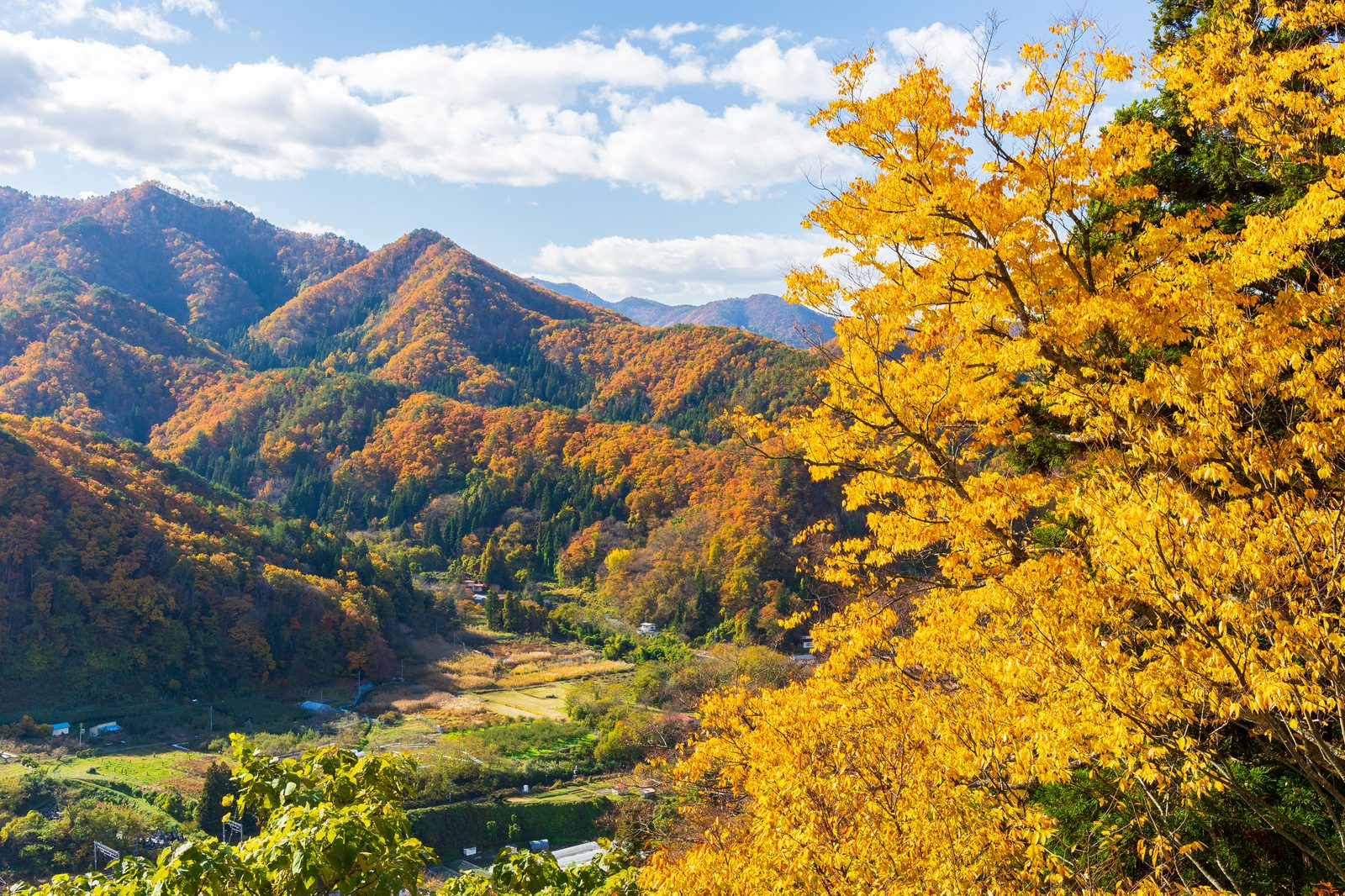 立石寺 五大堂から見下ろす山寺の谷と紅葉(写真=PIXTA)