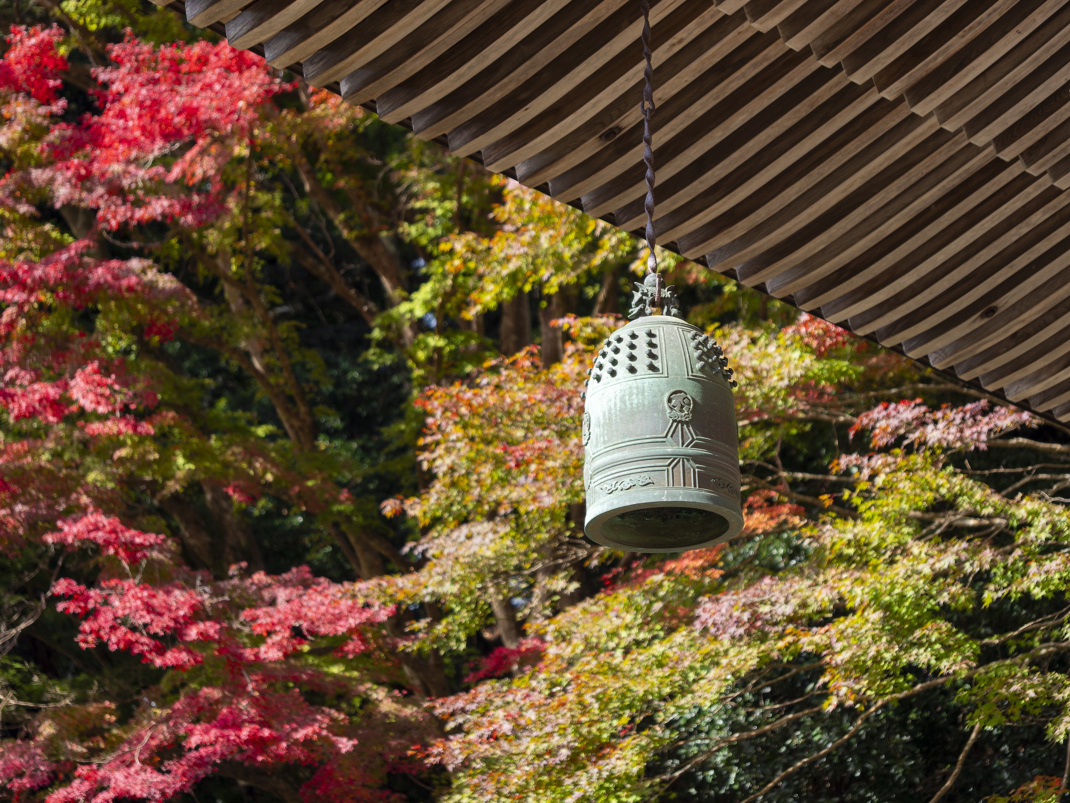 室生寺の梵鐘と紅葉