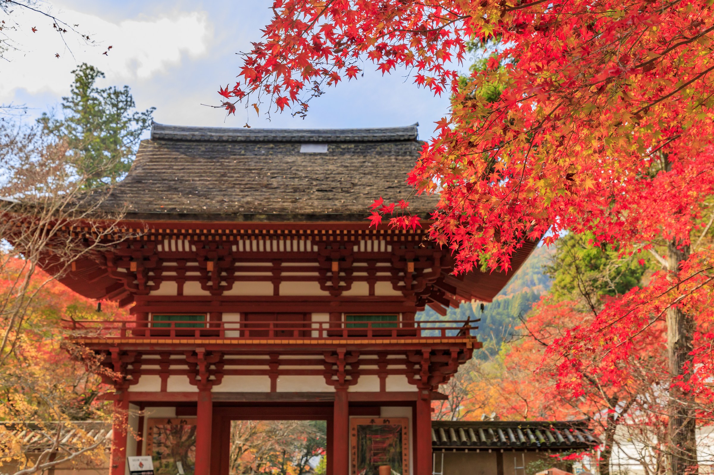 室生寺の仁王門と紅葉