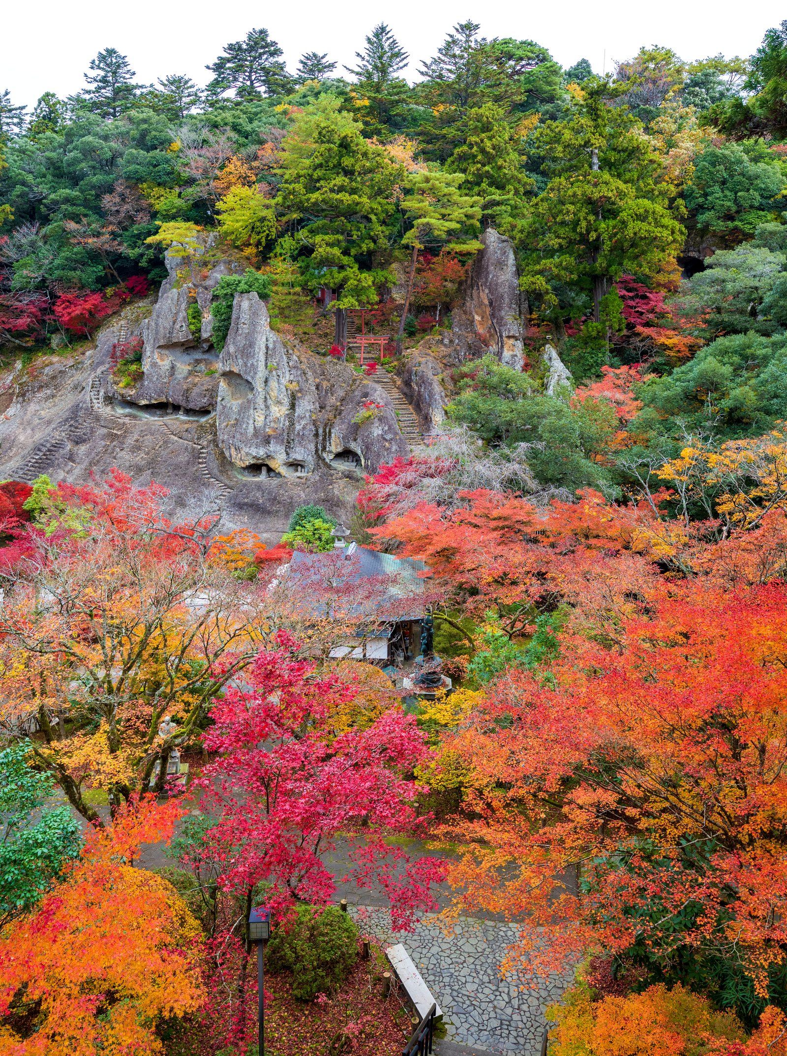 高い位置から見おろした那谷寺の境内。岩山と朱色に染まった木々