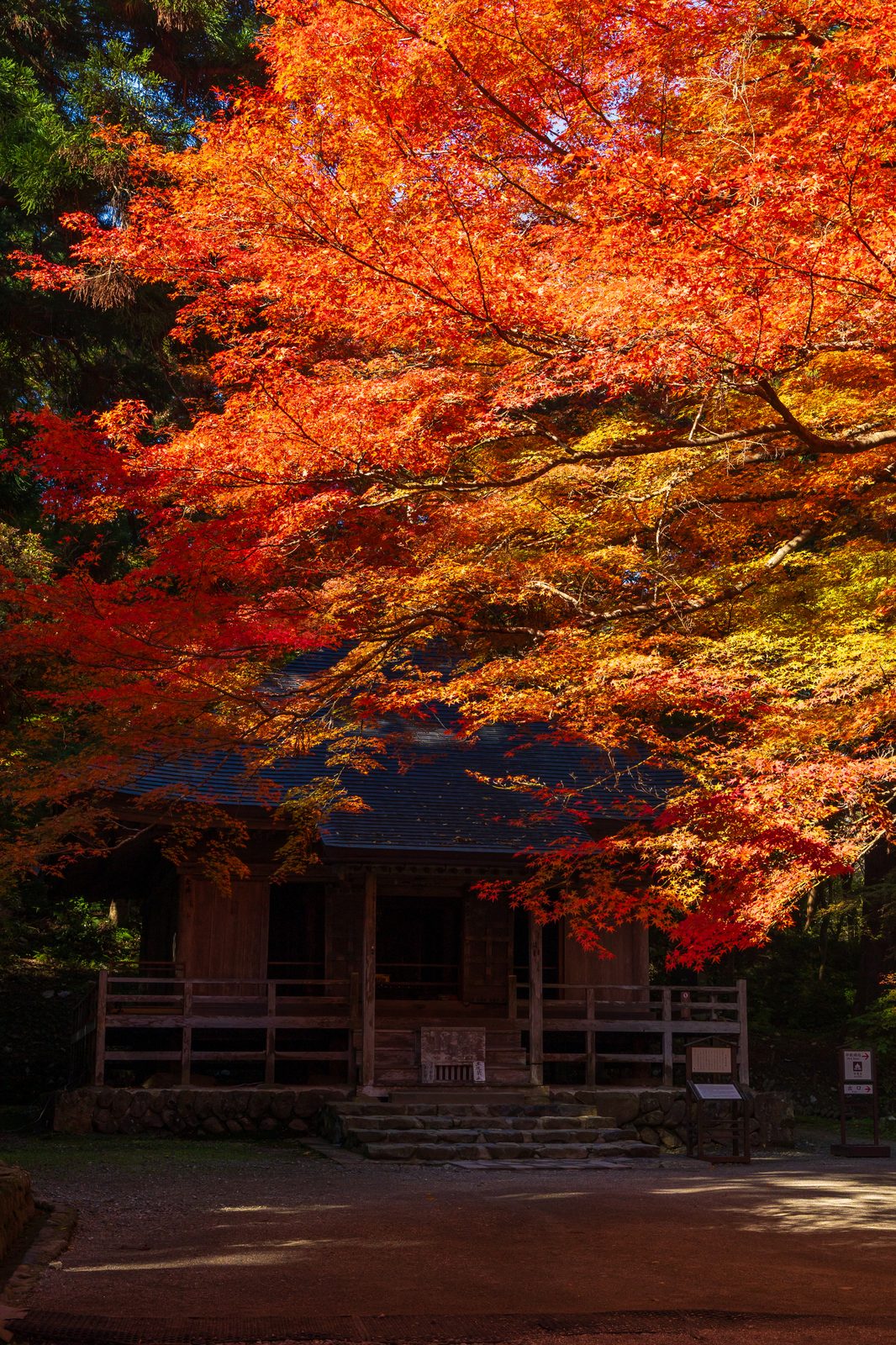 紅葉に包まれた中尊寺の経堂(写真=PIXTA)