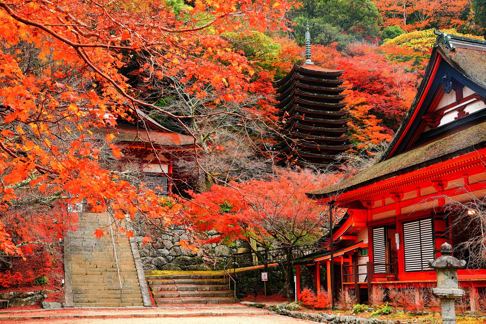 紅葉に包まれた談山神社の十三重塔と、社殿へ続く石段