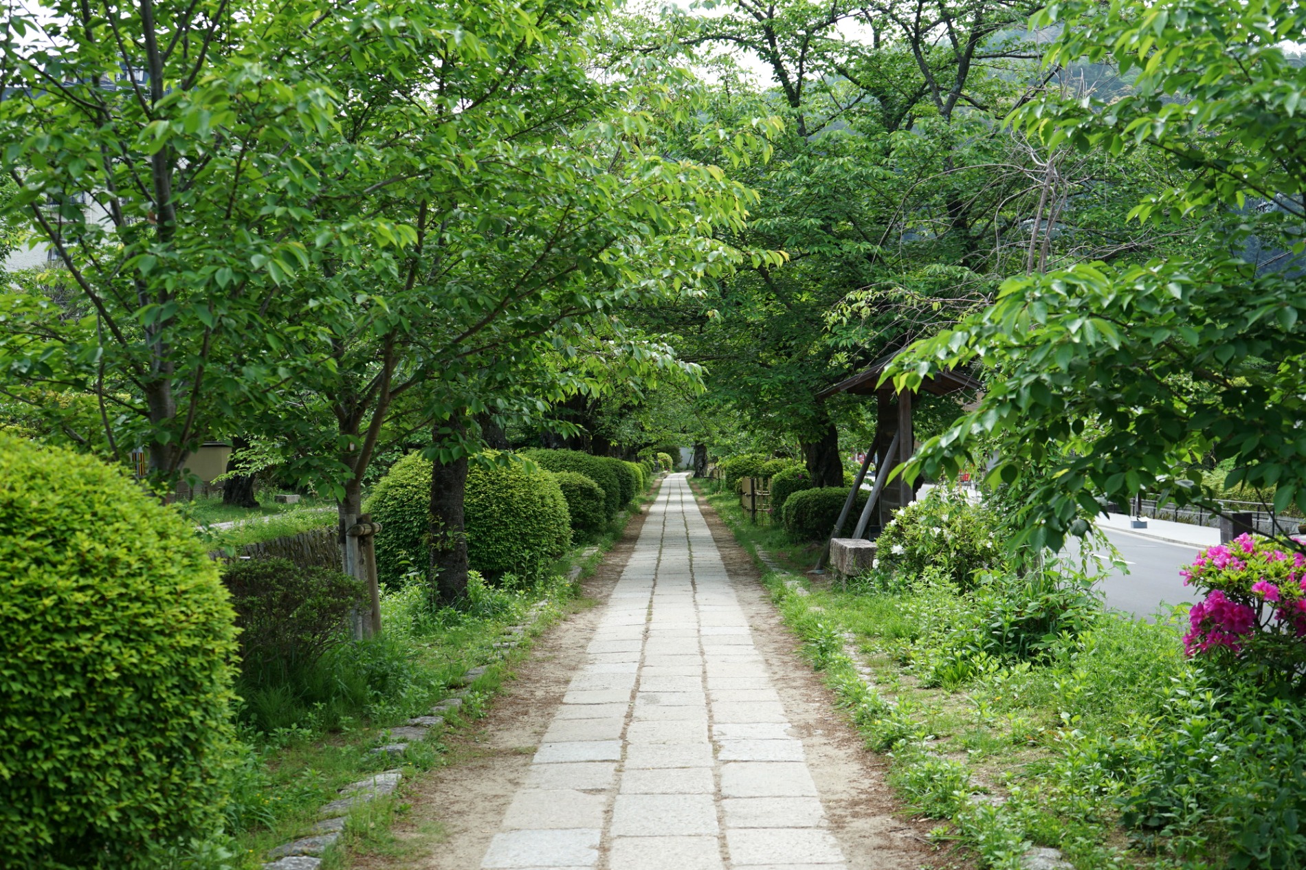 銀閣寺へ続く石畳の参道