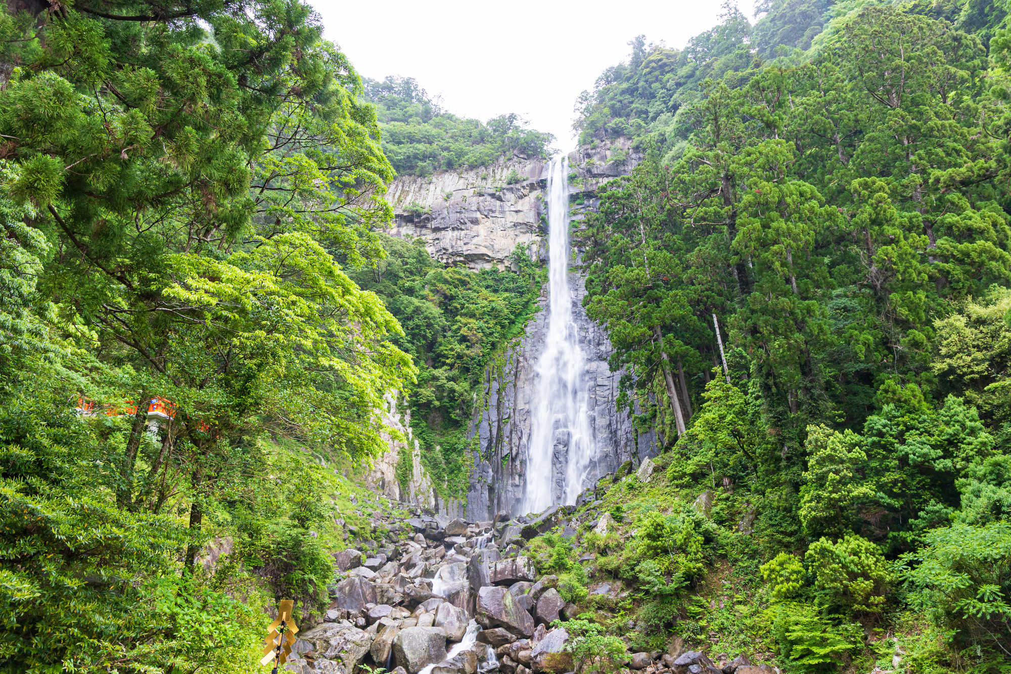 緑の山あいに落ちる那智の滝