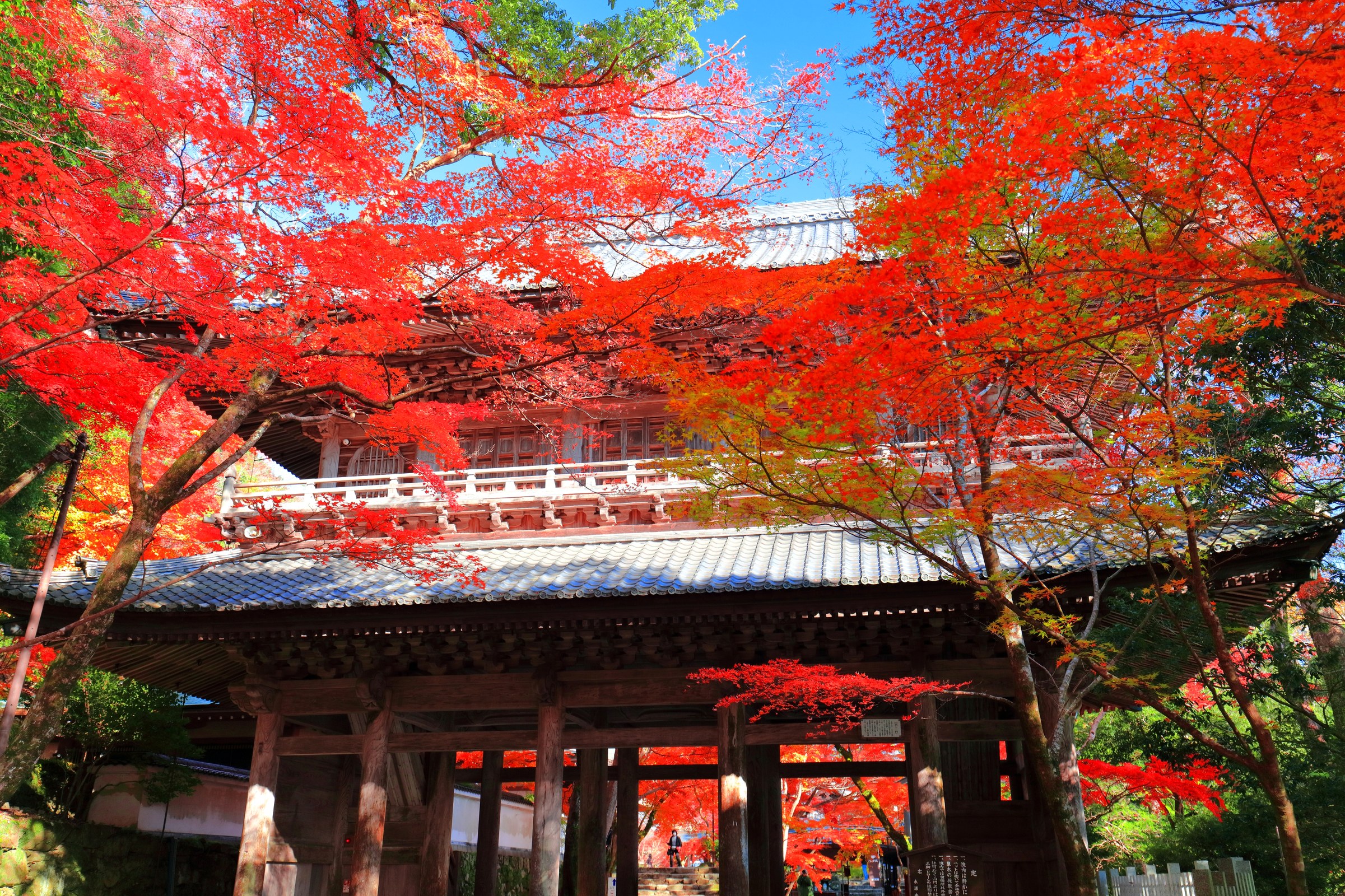 紅葉に包まれた永源寺の山門