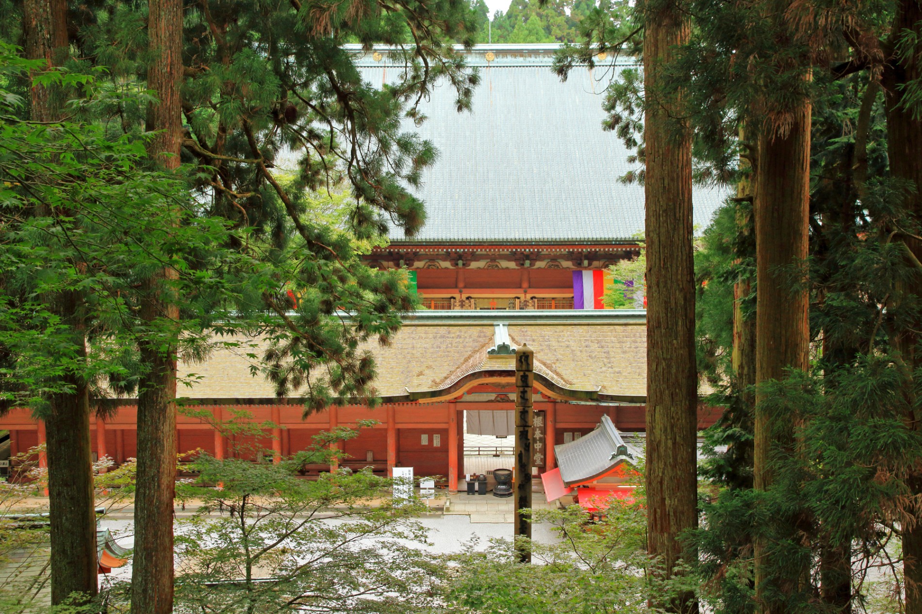 比叡山延暦寺 根本中堂の朱塗りの回廊と杉木立