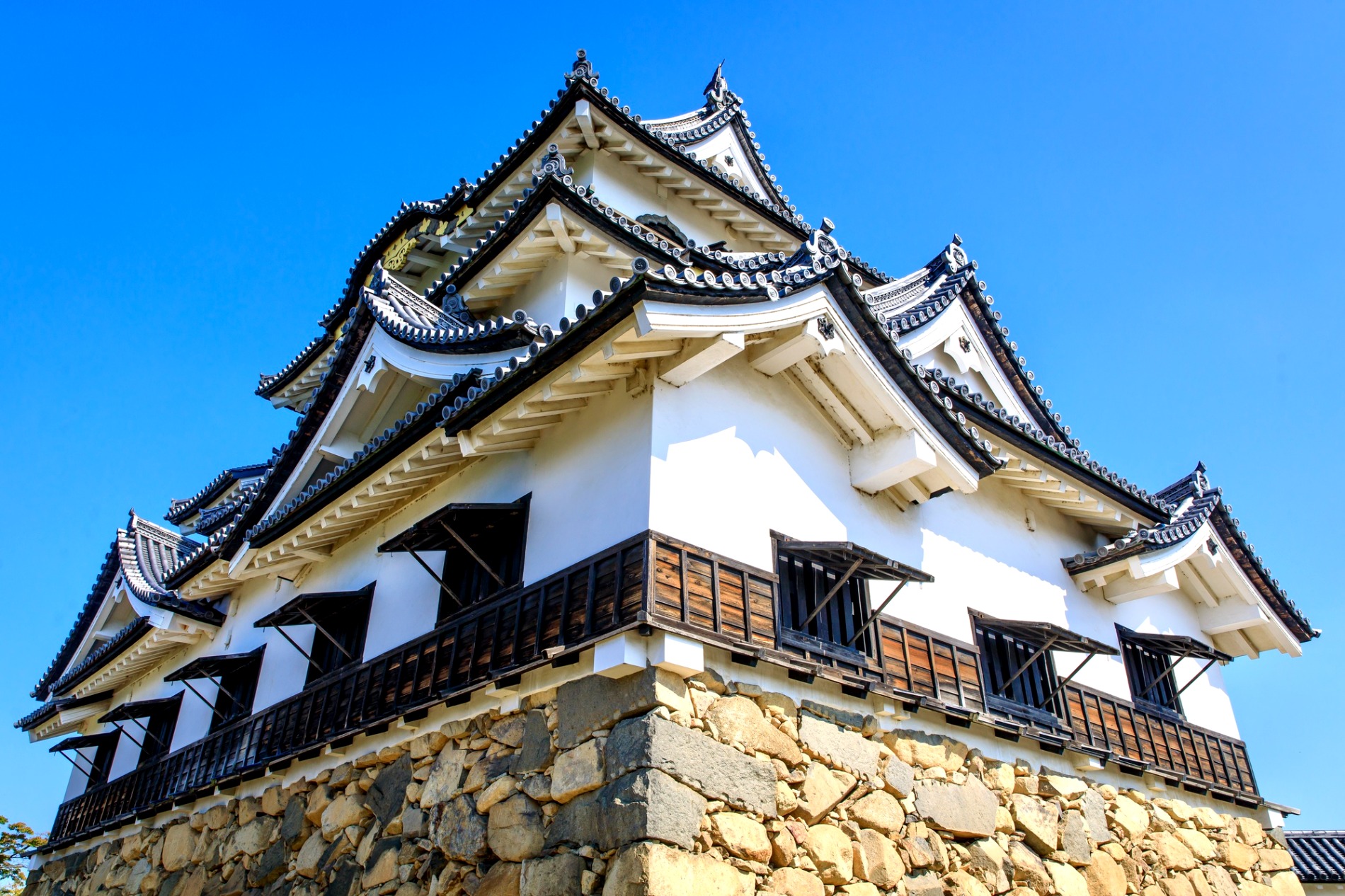下から見上げた彦根城の天守と石垣