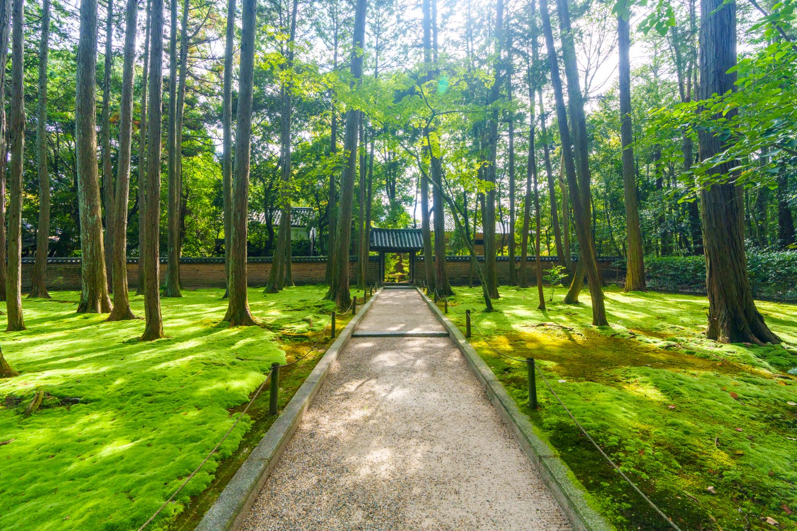 唐招提寺 鑑真和上開山御廟へ向かう門（奈良市五条町）