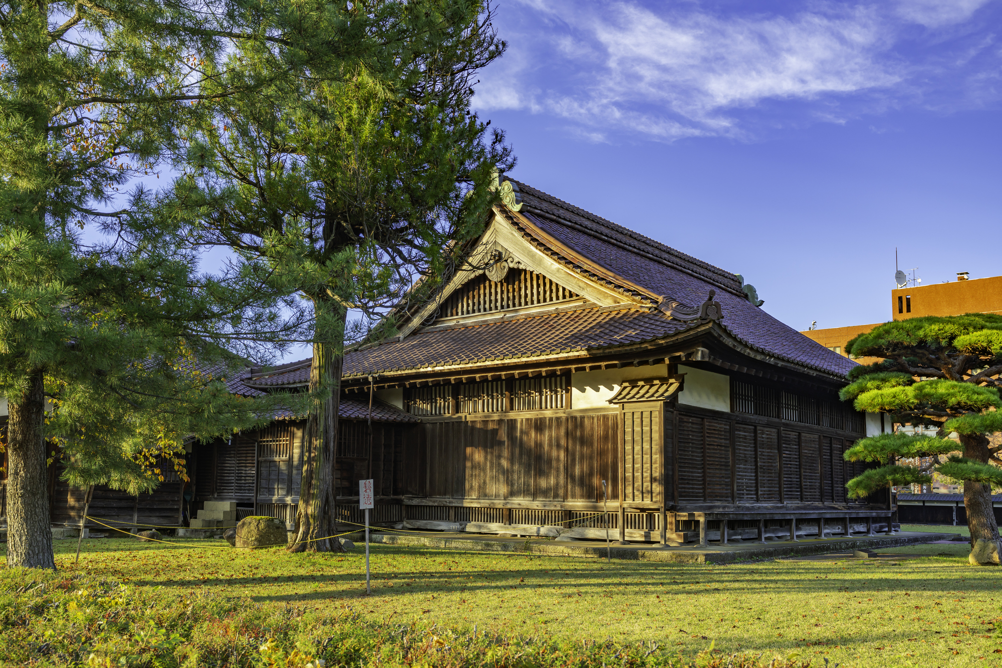 庄内藩校致道館の講堂。杉の大木の脇に建つ、瓦屋根の木造建築